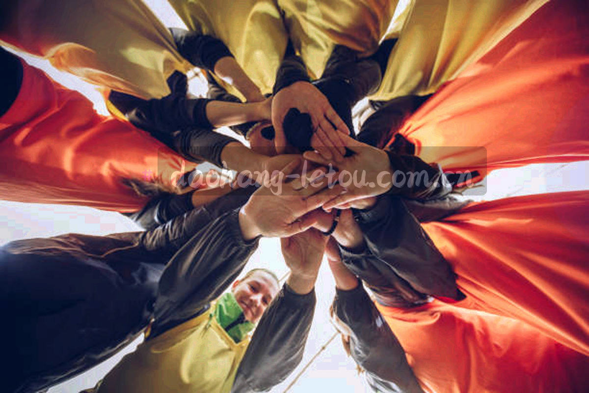标签节点与分类网格之间的连线图